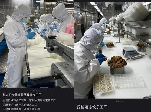 第二時間工廠游 爆火折射中國制造的發(fā)展之路