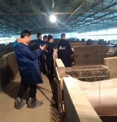 「新聞動態」‖主要看氣質!蓮都&ldquo;土豪豬&rdquo;登上央視!